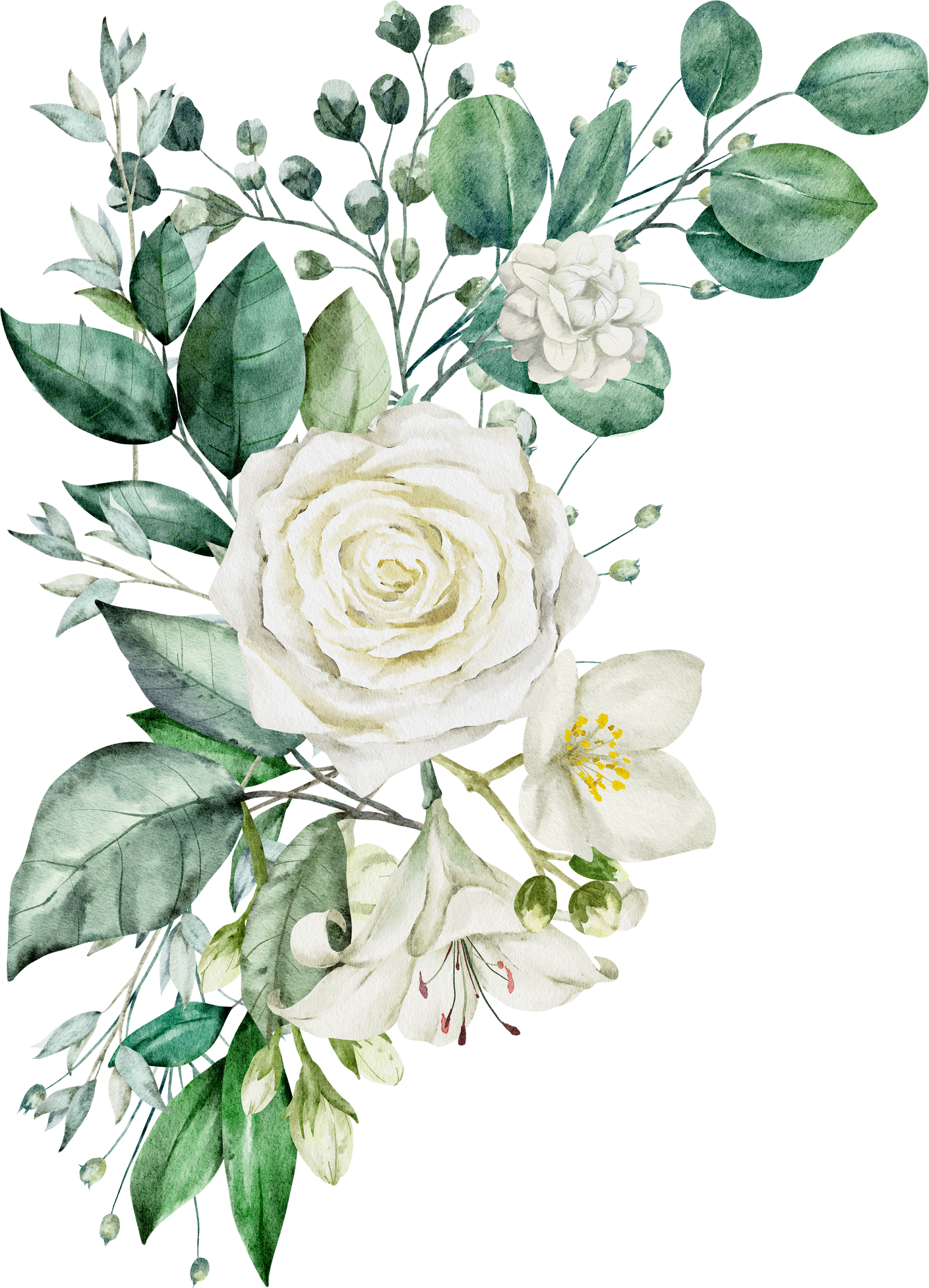 Green leaves and white rose watercolor